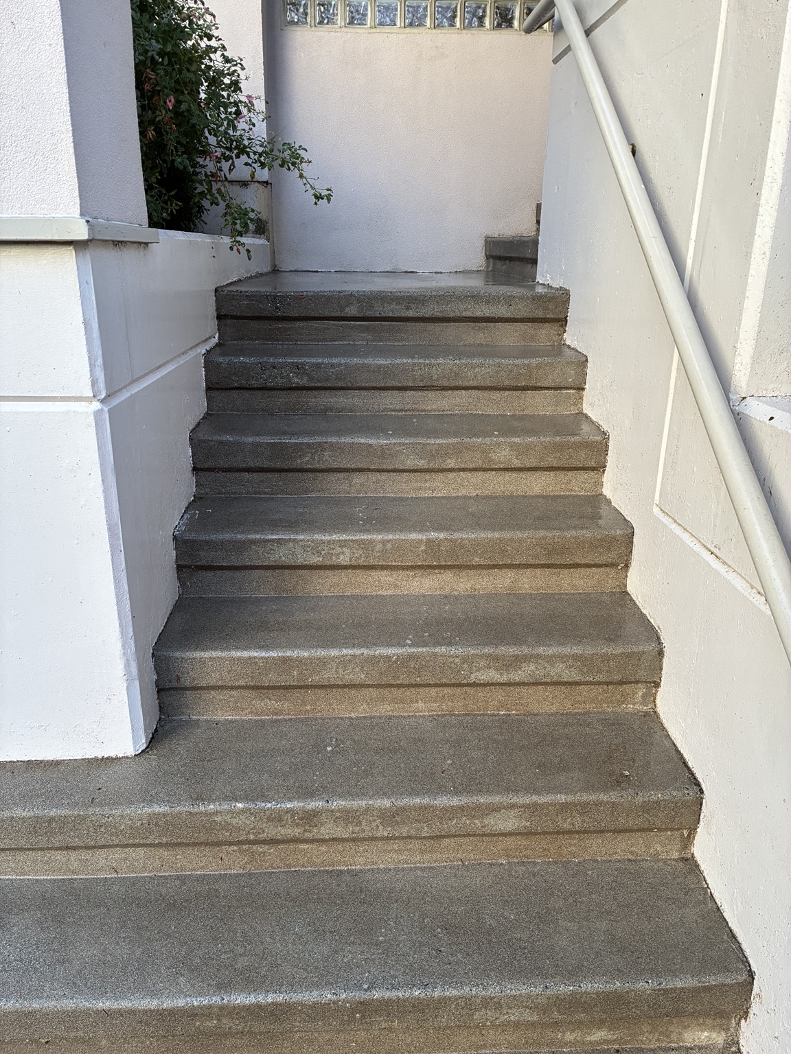 Concrete walkway and steps after pressure washing