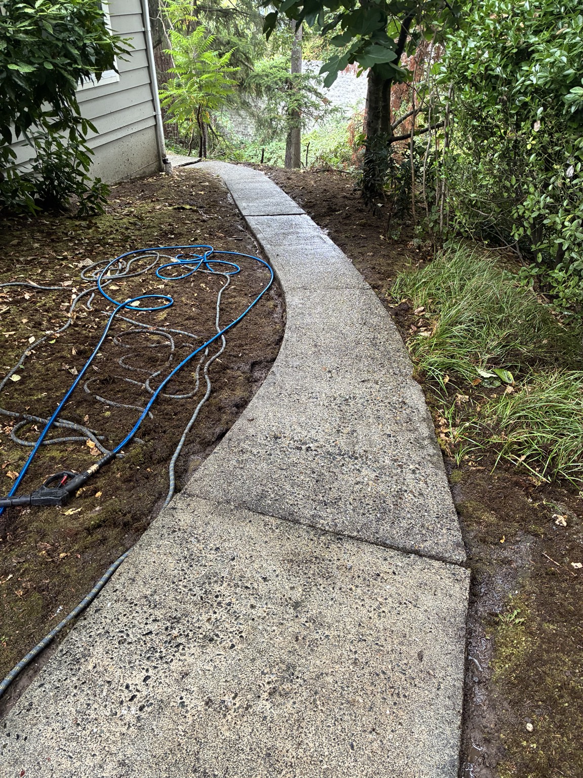 Clean concrete walkway after pressure washing